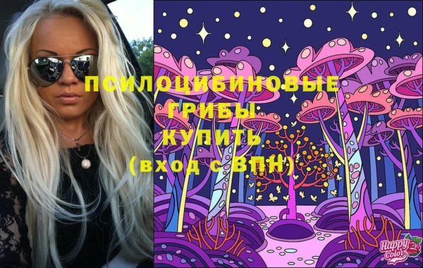 СК Мегион