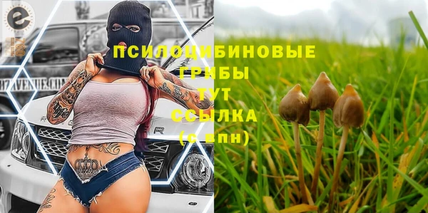 СК Мегион