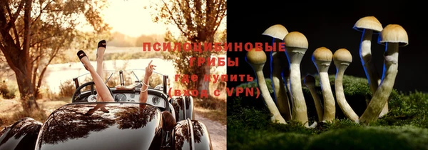 герыч Медногорск