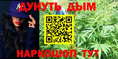 гидра Камышлов
