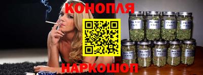 гидра Камышлов