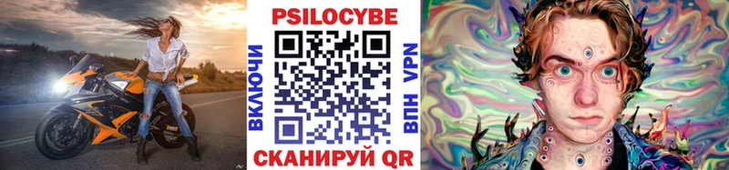 Псилоцибиновые грибы Cubensis Арзамас