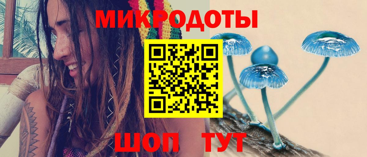 Галлюциногенные грибы мицелий Арзамас
