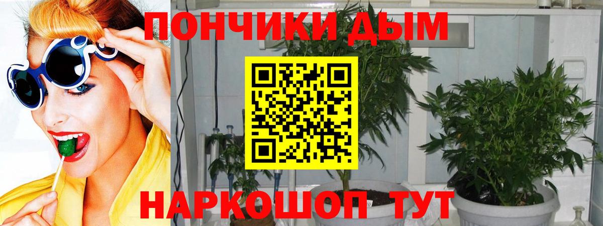 Шишки марихуана Ganja  Шишки марихуана план  Каннабис White Widow  Вход с VPN  Арзамас 